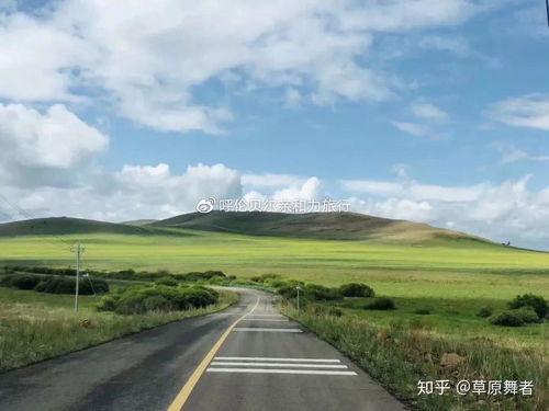 呼伦贝尔网红草原怎么去,一场说走就走的草原之旅